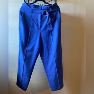 Ann Taylor Blue Dress Pants